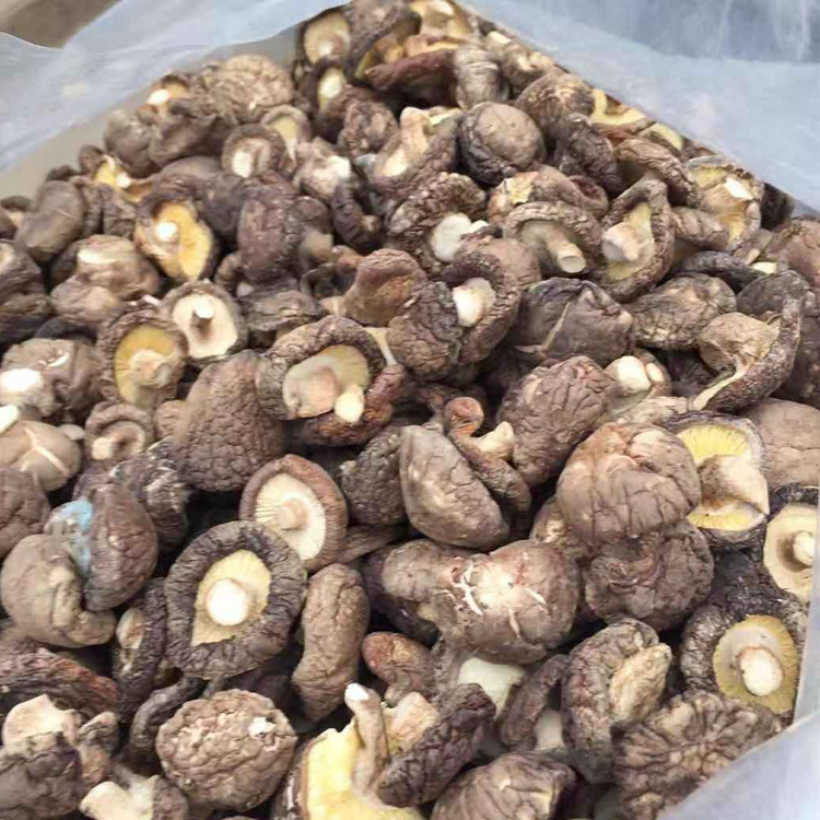 湖北隨州特產(chǎn)香菇 優(yōu)質(zhì)干菇，散裝代發(fā)大量供應(yīng)