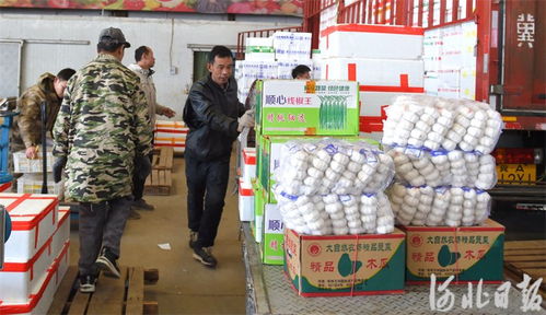 河北邢臺(tái) 筑牢節(jié)日市場(chǎng)供應(yīng)防線，守護(hù)食用農(nóng)產(chǎn)品批發(fā)安全